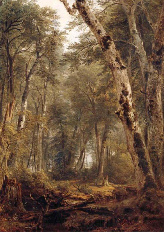Asher Brown Durand Study Woodland interior France oil painting art